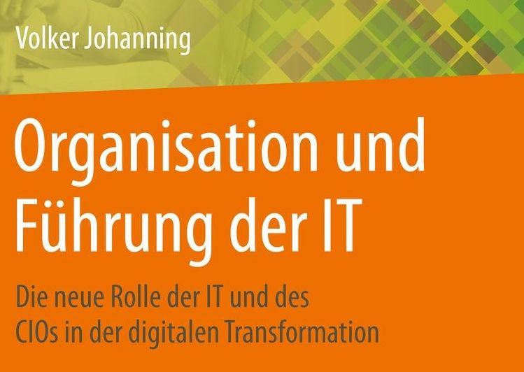 Cover-Ausschnitt Organisation und Führung der IT
