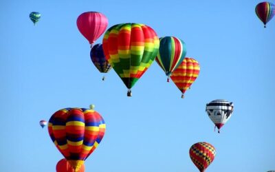 IT Portfolio Management